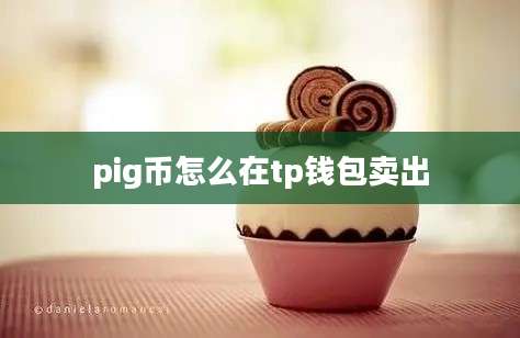 pig币怎么在tp钱包卖出