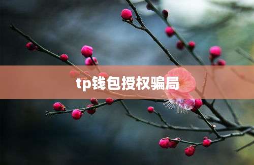 tp钱包授权骗局