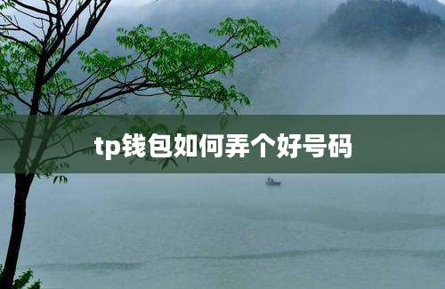 tp钱包如何弄个好号码