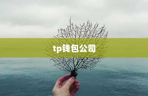 tp钱包公司
