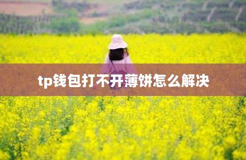 tp钱包打不开薄饼怎么解决