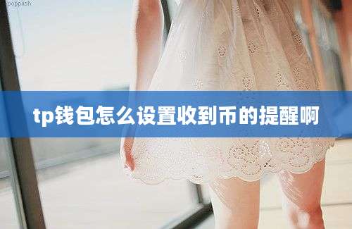 tp钱包怎么设置收到币的提醒啊