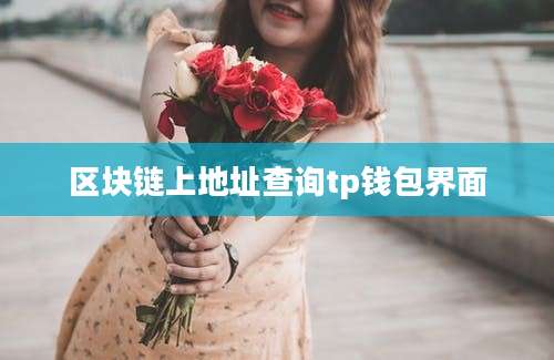 区块链上地址查询tp钱包界面