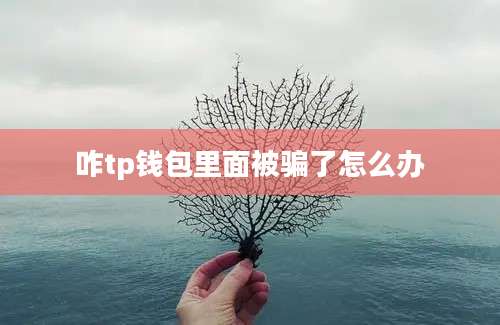 咋tp钱包里面被骗了怎么办