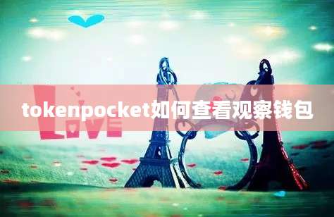 tokenpocket如何查看观察钱包