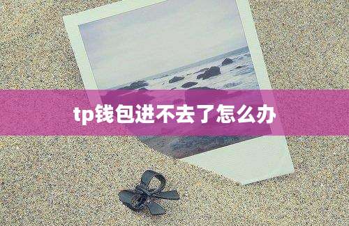 tp钱包进不去了怎么办