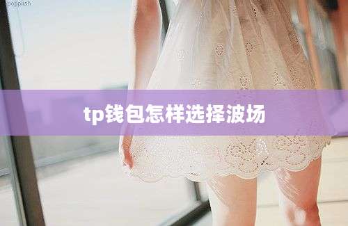 tp钱包怎样选择波场