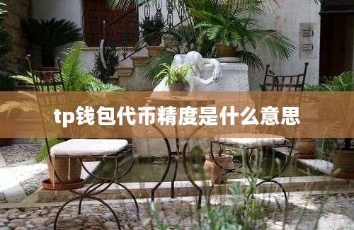 tp钱包代币精度是什么意思