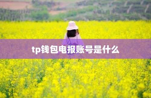 tp钱包电报账号是什么