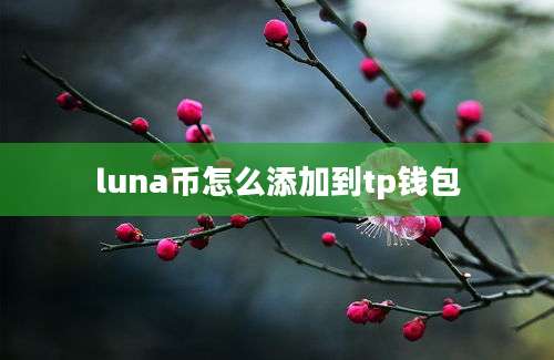 luna币怎么添加到tp钱包