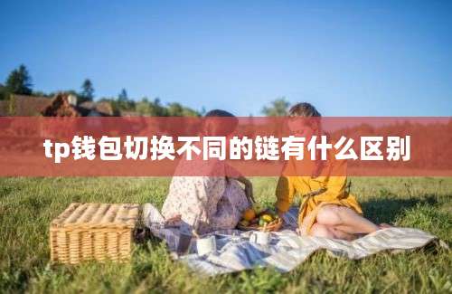 tp钱包切换不同的链有什么区别