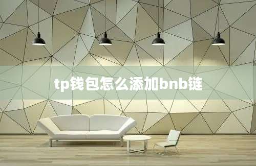 tp钱包怎么添加bnb链