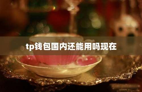 tp钱包国内还能用吗现在