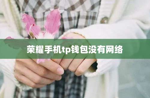 荣耀手机tp钱包没有网络
