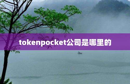 tokenpocket公司是哪里的
