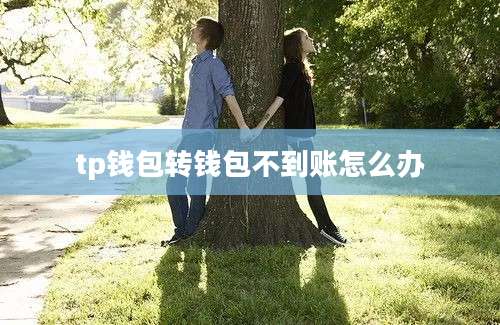 tp钱包转钱包不到账怎么办