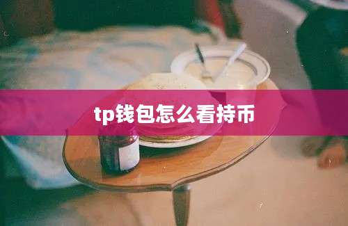 tp钱包怎么看持币
