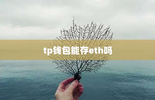tp钱包能存eth吗
