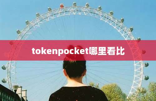 tokenpocket哪里看比