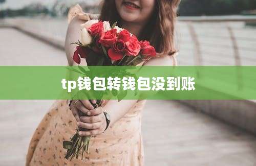 tp钱包转钱包没到账