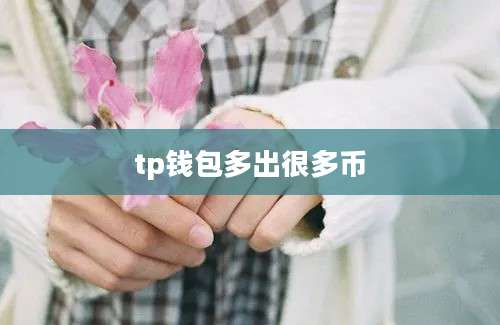 tp钱包多出很多币