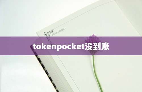 tokenpocket没到账