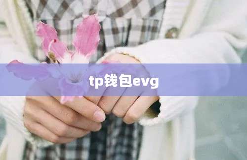 tp钱包evg