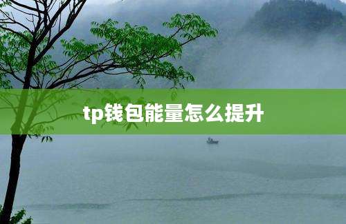 tp钱包能量怎么提升