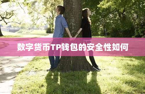 数字货币TP钱包的安全性如何