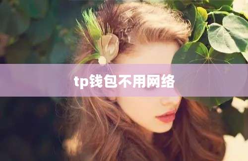 tp钱包不用网络