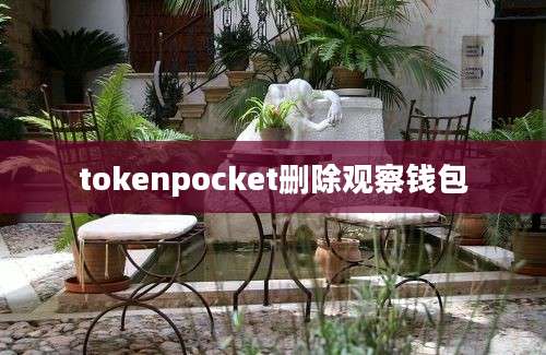 tokenpocket删除观察钱包