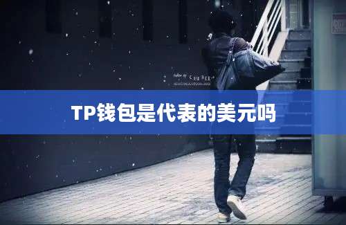 TP钱包是代表的美元吗