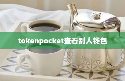 tokenpocket查看别人钱包