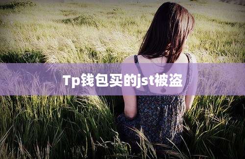 Tp钱包买的jst被盗
