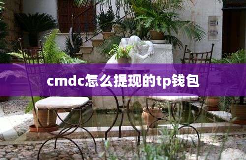 cmdc怎么提现的tp钱包