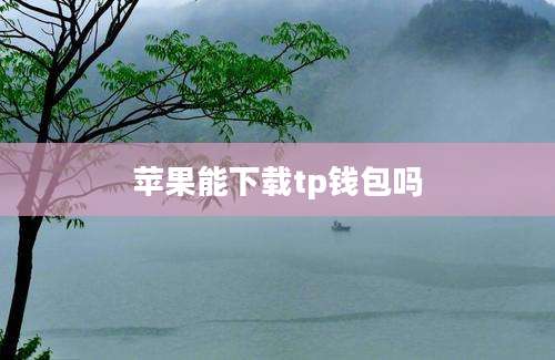苹果能下载tp钱包吗