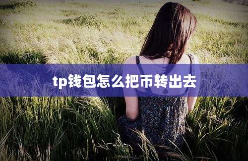 tp钱包怎么把币转出去