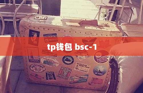 tp钱包 bsc-1