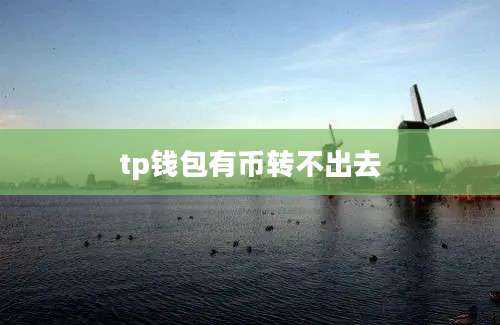 tp钱包有币转不出去