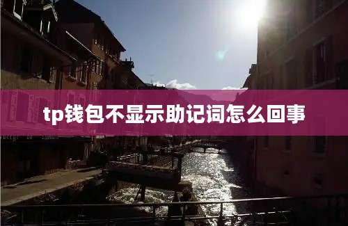 tp钱包不显示助记词怎么回事