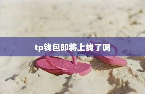 tp钱包即将上线了吗