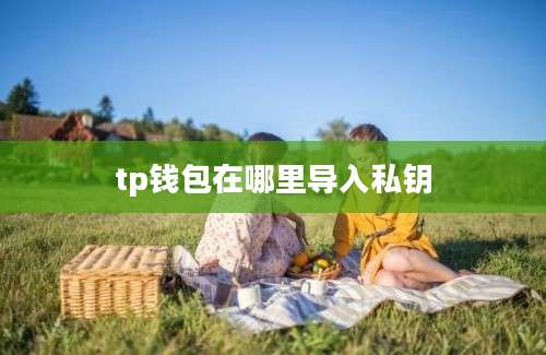 tp钱包在哪里导入私钥