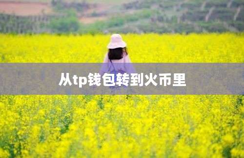 从tp钱包转到火币里