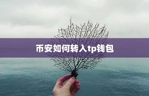 币安如何转入tp钱包