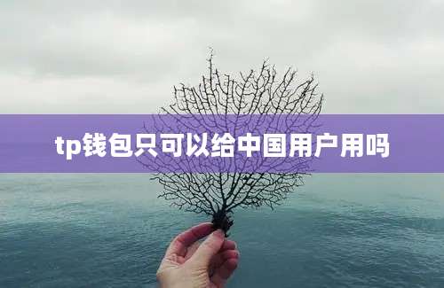 tp钱包只可以给中国用户用吗