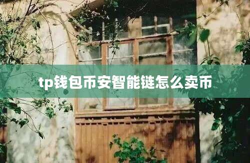 tp钱包币安智能链怎么卖币