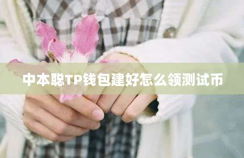 中本聪TP钱包建好怎么领测试币