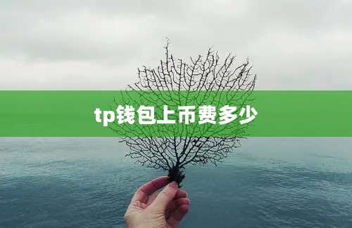 tp钱包上币费多少