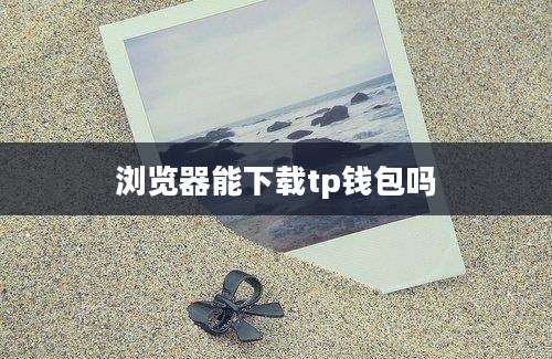 浏览器能下载tp钱包吗