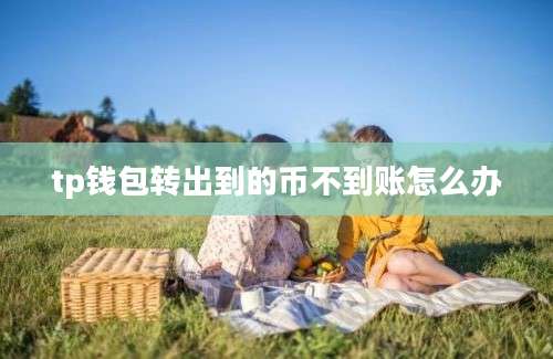 tp钱包转出到的币不到账怎么办